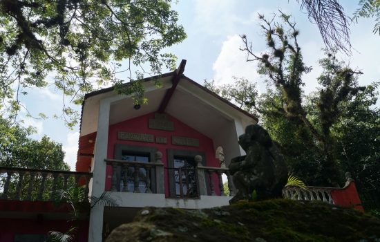 Beneficio-del-Cafe